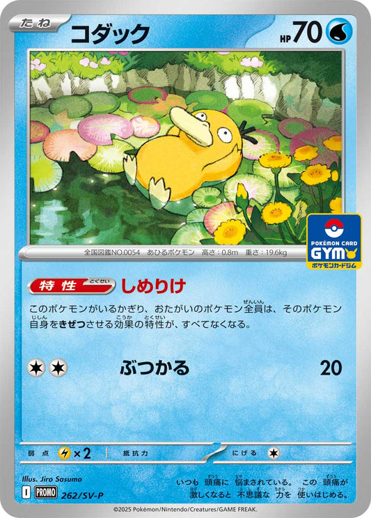 【PROMO】[262/SV-P]コダック[水]