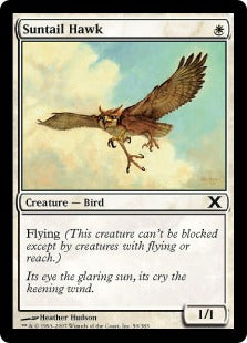 [050]【EN】【FOIL】陽光尾の鷹/Suntail Hawk【10ED】[C][白]