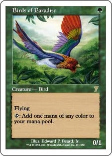 [231]【EN】極楽鳥/Birds of Paradise【7ED】[R][緑]