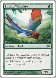[238]【EN】【FOIL】極楽鳥/Birds of Paradise【8ED】[R][緑]