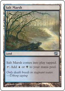 [332]【JP】【FOIL】塩の湿地/Salt Marsh【8ED】[U][土地]
