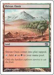 [333]【EN】【FOIL】シヴのオアシス/Shivan Oasis【8ED】[U][土地]