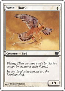 [049]【JP】陽光尾の鷹/Suntail Hawk【9ED】[C][白]