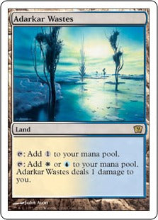 [317]【JP】アダーカー荒原/Adarkar Wastes【9ED】[R][土地]