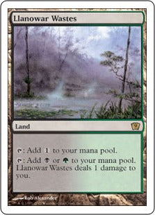 [322]【EN】ラノワールの荒原/Llanowar Wastes【9ED】[R][土地]