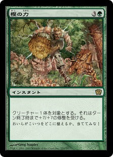[255]【JP】【FOIL】樫の力/Might of Oaks【9ED】[R][緑]