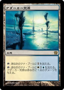 [317]【JP】【FOIL】アダーカー荒原/Adarkar Wastes【9ED】[R][土地]