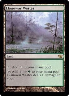 [322]【EN】【FOIL】ラノワールの荒原/Llanowar Wastes【9ED】[R][土地]
