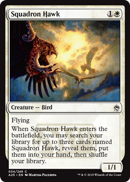 [034]【EN】戦隊の鷹/Squadron Hawk【A25】[C][白]