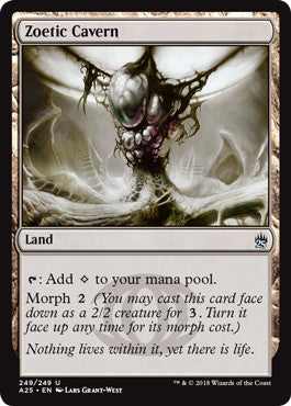 [249]【EN】【FOIL】生けるものの洞窟/Zoetic Cavern【A25】[U][土地]
