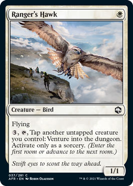[037]【EN】【FOIL】レンジャーの鷹/Ranger's Hawk【AFR】[C][白]