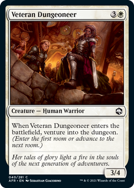 [040]【EN】古参の迷路探索者/Veteran Dungeoneer【AFR】[C][白]
