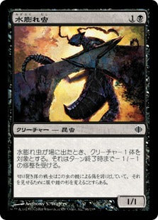 [066]【JP】【FOIL】水膨れ虫/Blister Beetle【ALA】[C][黒]