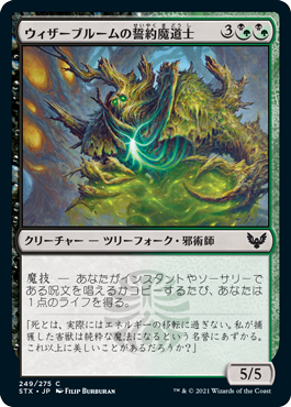 [249]【JP】【FOIL】ウィザーブルームの誓約魔道士/Witherbloom Pledgemage【STX】[C][多色]