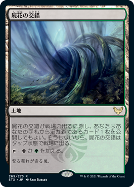 [269]【JP】【FOIL】屍花の交錯/Necroblossom Snarl【STX】[R][土地]