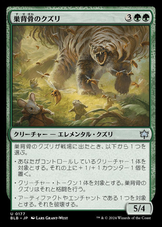 [177]【JP】【FOIL】巣背骨のクズリ/Hivespine Wolverine【BLB】[U][緑]