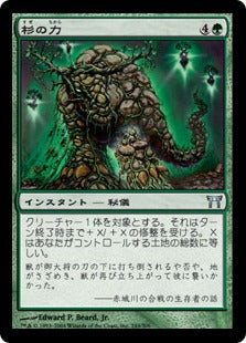 [245]【JP】【FOIL】杉の力/Strength of Cedars【CHK】[U][緑]