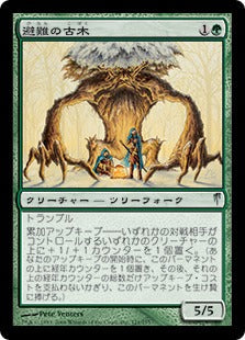 [121]【JP】【FOIL】避難の古木/Sheltering Ancient【CSP】[U][緑]