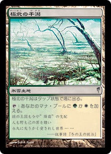 [143]【JP】【FOIL】極北の干潟/Arctic Flats【CSP】[U][土地]