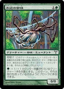 [080]【JP】水辺の蜘蛛/Aquastrand Spider【DIS】[C][緑]