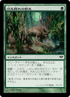 [119]【JP】吠え群れの飢え/Hunger of the Howlpack【DKA】[C][緑]
