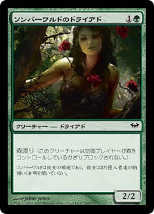 [126]【JP】【FOIL】ソンバーワルドのドライアド/Somberwald Dryad【DKA】[C][緑]