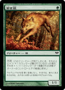 [134]【JP】【FOIL】若き狼/Young Wolf【DKA】[C][緑]