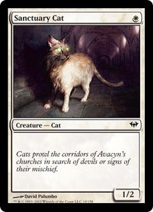[019]【EN】【FOIL】聖所の猫/Sanctuary Cat【DKA】[C][白]
