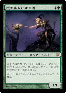 [066]【JP】【FOIL】花を手入れする者/Bloom Tender【EVE】[R][緑]