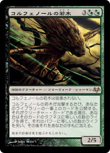 [145]【JP】【FOIL】コルフェノールの若木/Sapling of Colfenor【EVE】[R][多色]
