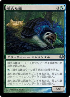 [157]【JP】【FOIL】頑丈な雛/Sturdy Hatchling【EVE】[U][多色]