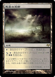 [176]【JP】【FOIL】悪臭の荒野/Fetid Heath【EVE】[R][土地]