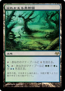 [177]【JP】【FOIL】溢れかえる果樹園/Flooded Grove【EVE】[R][土地]