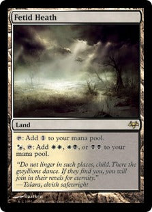 [176]【EN】【FOIL】悪臭の荒野/Fetid Heath【EVE】[R][土地]