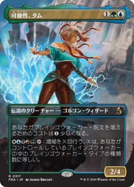 [317]【JP】【FOIL】■ボーダーレス■可能性、タム/Tam, the Possibility【FRA】[R][多色]
