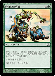 [098]【EN】【FOIL】野生の寸法/Wildsize【GPT】[C][緑]