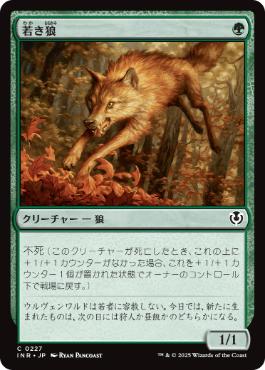 [227]【JP】若き狼/Young Wolf【INR】[C][緑]