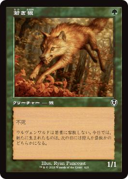 [425]【JP】■旧枠■若き狼/Young Wolf【INR】[C][緑]
