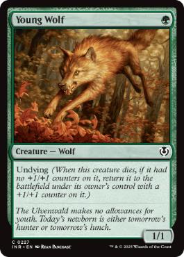 [227]【EN】【FOIL】若き狼/Young Wolf【INR】[C][緑]