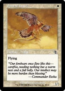 [028]【EN】【FOIL】陽光尾の鷹/Suntail Hawk【JUD】[C][白]