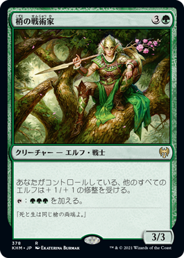 [378]【JP】梢の戦術家/Canopy Tactician【KHM】[R][緑]