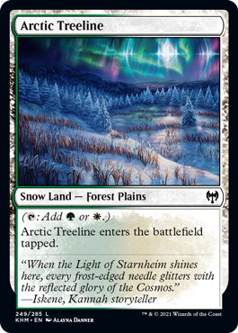 [249]【EN】【FOIL】極北の並木/Arctic Treeline【KHM】[C][土地]
