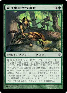 [214]【JP】【FOIL】光り葉の待ち伏せ/Gilt-Leaf Ambush【LRW】[C][緑]