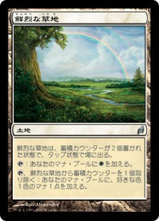 [279]【JP】鮮烈な草地/Vivid Meadow【LRW】[U][土地]