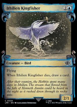 [509]【EN】■ショーケース■イシリアンのカワセミ/Ithilien Kingfisher【LTR】[C][青]