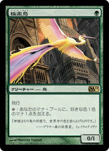 [165]【JP】極楽鳥/Birds of Paradise【M11】[R][緑]