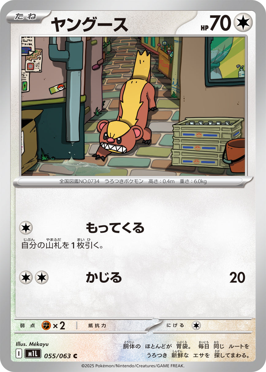 【M1L】[055/063]ヤングース[C][無]
