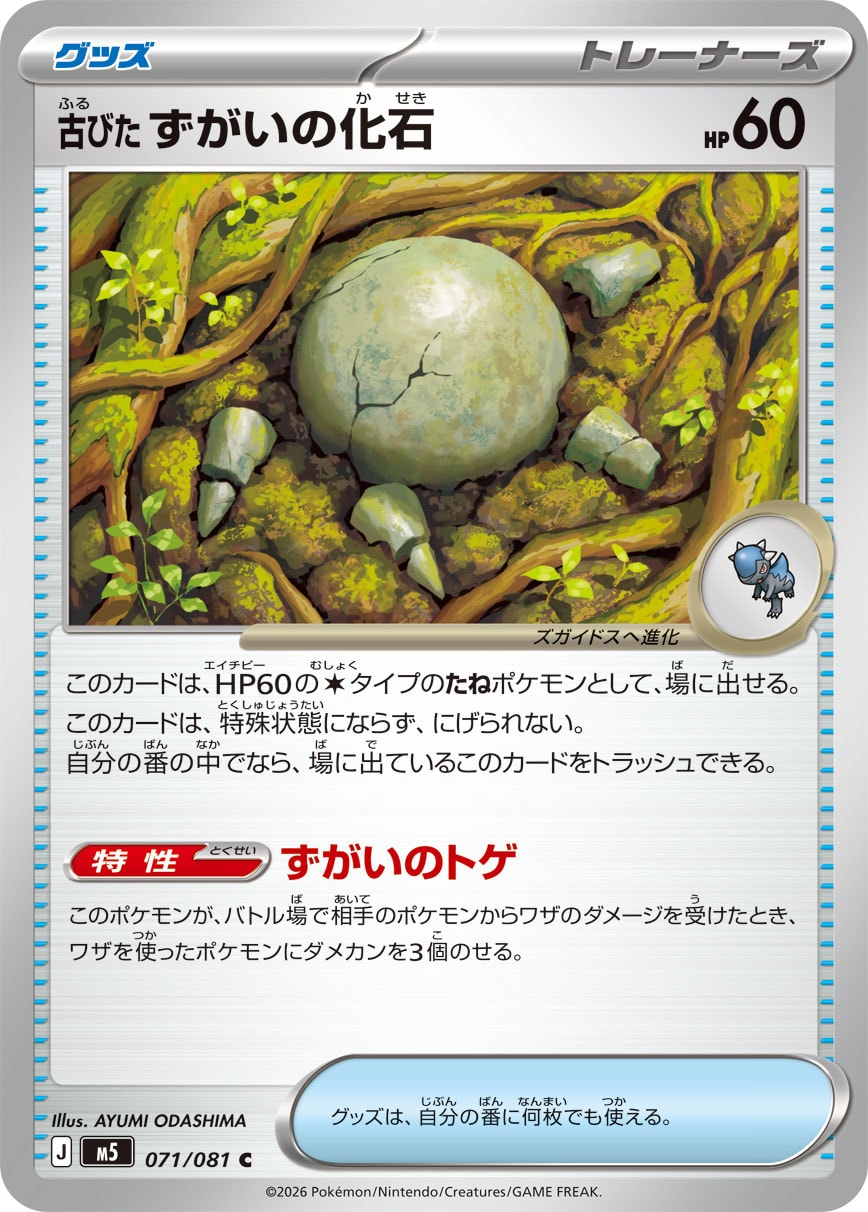 【M5】[071/081]古びたずがいの化石[C][グッズ]