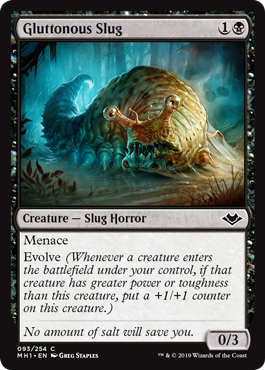 [093]【EN】【FOIL】暴食するナメクジ/Gluttonous Slug【MH1】[C][黒]