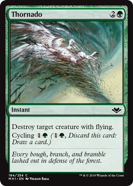 [184]【EN】【FOIL】棘竜巻/Thornado【MH1】[C][緑]